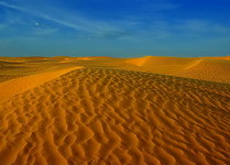 Sahara